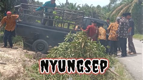 Hajatan Pernikahan Di Desa Padang Lalang Lubuk Tua Hiburan Sumber