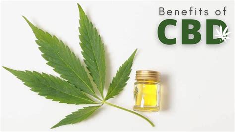 Benefits Of CBD Oil Explained By 420 Doctors New Jersey