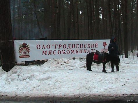 Жестокий век, жестокие сердца | Пикабу