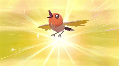 First Shiny In Isle Of Armor Shiny Fletchling In Pokemon Sword And