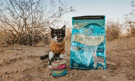 Holistic and Grain-Free Holistic Cat Food Recipes | Earthborn Holistic ...