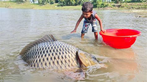 Amazing Big Fish Catching By Hand 2023 Traditional Big Fish Catch By