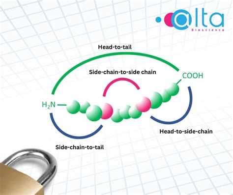 Peptide Cyclisation Methods Altabioscience