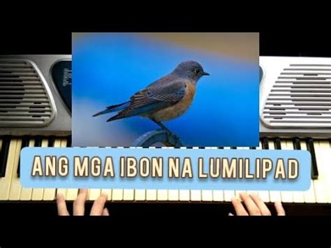 Ang Mga Ibon Na Lumilipad Piano Cover Lyrics Youtube