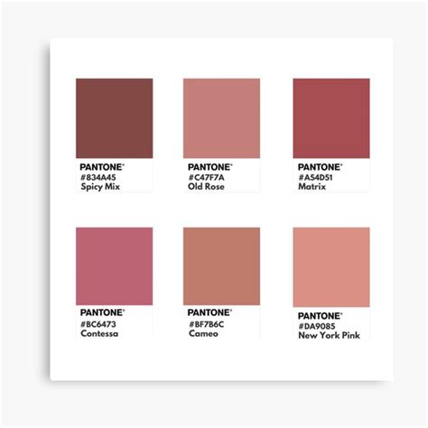 Pink Nude Palette Pantone Color Swatch Canvas Print For Sale By