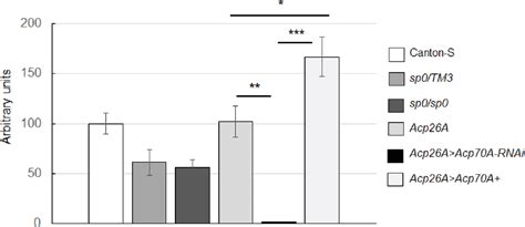 Figure 1 From Chapter 5 Role Of Sex Peptide In Drosophila Males Semantic Scholar