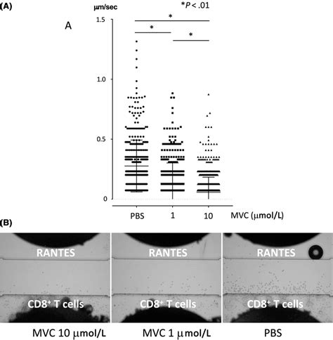 The Realtime Chemotaxis Assay The Chemotactic Activity Of CD8 T