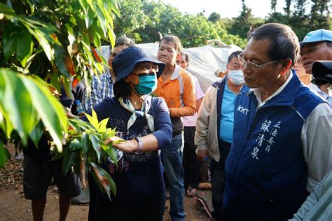 荔枝不開花恐影響收成 立委蘇清泉堪災允儘速協助 橘傳媒