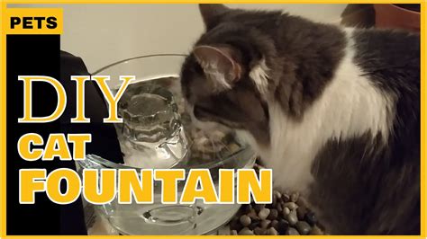 Cat Water Fountain Diy Quick And Easy Youtube