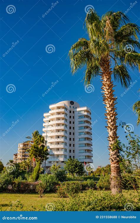 View Of A Modern Multistory Resort Hotel In Front Of A Palm Tree At