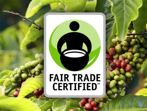 Fair Trade Organic Espresso Blend Coffee Beans For Sale Sonofresco