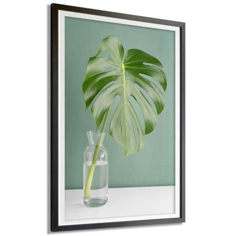 Plakat Dekor A X Cm Monstera Woda Wzory Plakat Natura R Ne