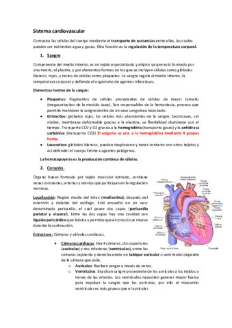 Sistema Cardiovascular Resumen Pdf