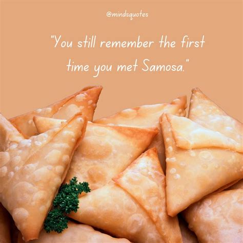 Famous World Samosa Day Quotes Sayings Captions Wishes