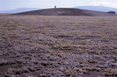 Olduvai Gorge The Shifting Sand Dunes Unusual Places