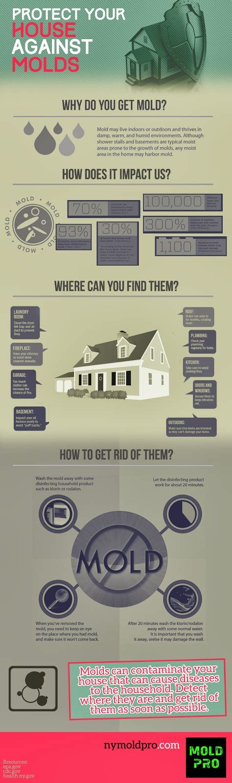 Mold Testing And Inspection Guide Nymoldpro Blog Mold Infographics