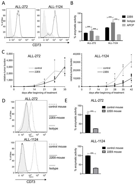 22E6 Induces Downregulation Of CD73 On PDX ALL Cells In Vivo A PDX