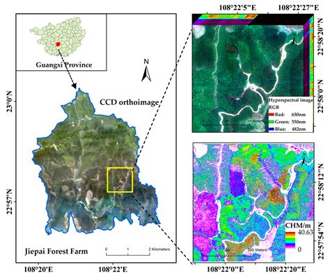 Forests Free Full Text Object Based Tree Species Classification