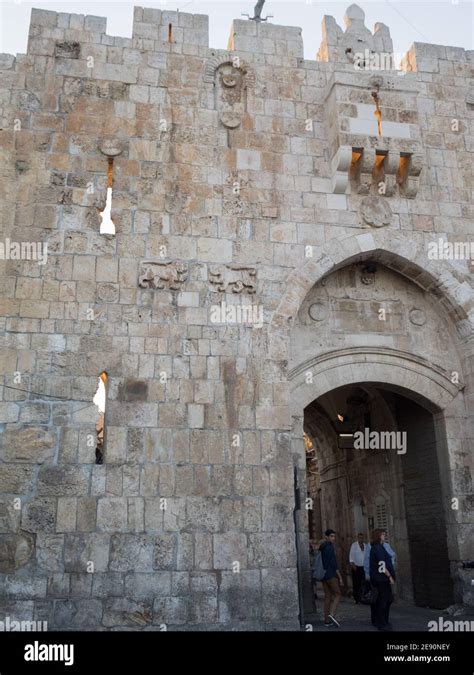 Top 90 Imagen Puerta De Los Leones Jerusalem Abzlocal Mx