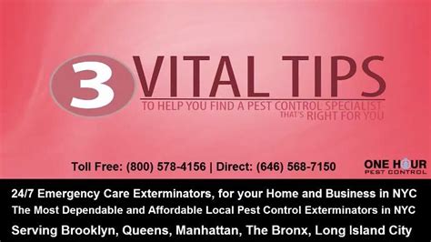 Vital Tips for Bed Bugs - 24 Hour Bed Bug Exterminators in New York