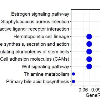 Kegg Pathway Analysis Of Aberrantly Expressed Genes In Chondrogenesis