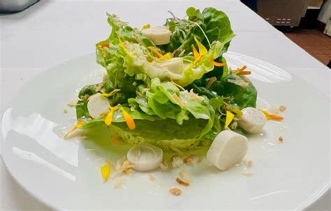 Tropical Bibb Salad – Recipes for Club + Resort Chef