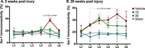 Effect Of Ara On Iba Immunoreactivity After Spared Nerve Injury