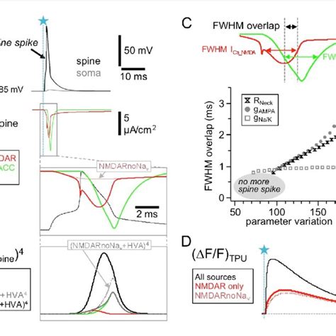 Blockade Of High Voltage Activated Ca Channels By W Conotoxin Mviic