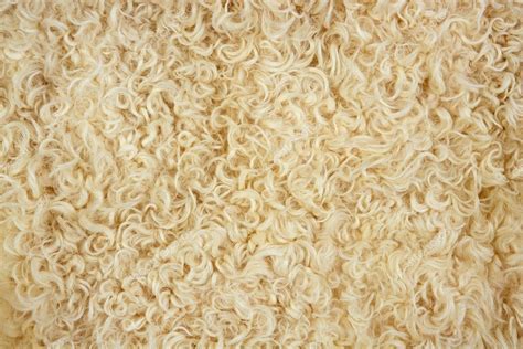 Lamb wool macro texture closeup cream color — Stock Photo © lunamarina ...