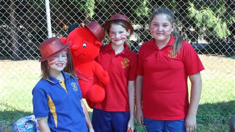 Goulburn South Public School Swimming Carnival Photos Goulburn Post