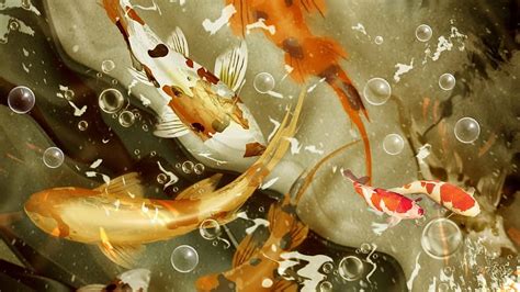 Koi Fish Live Japan APK Personalization Koi Art HD Wallpaper Pxfuel