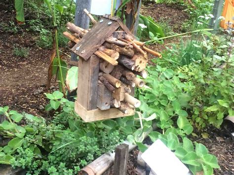 Diy Bee Garden Koreanstat