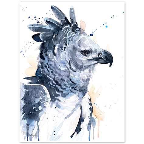 Harpy Eagle Print Out