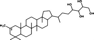 Small Things Considered: Bacterial Hopanoids – The Lipids That Last Forever