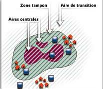 Zonage R Serve De La Biosph Re Du Lacsaintpierre Uqtr