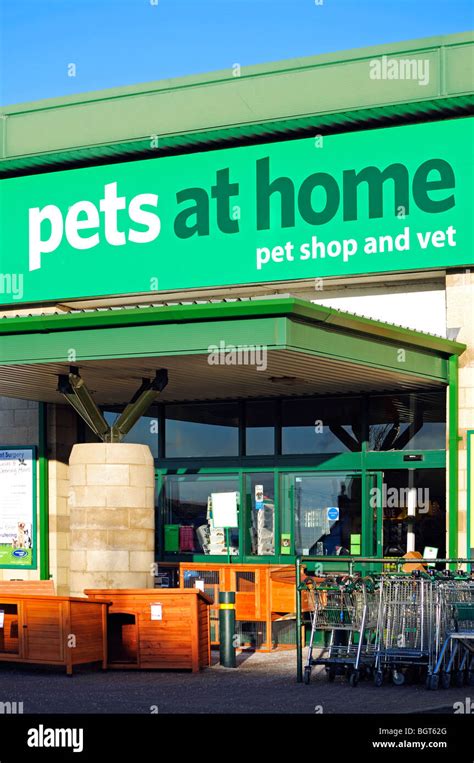 Uk Pets At Home Hi Res Stock Photography And Images Alamy