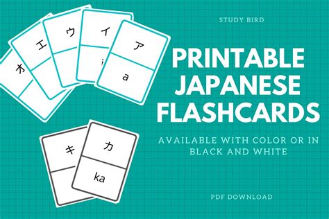 Japanese Katakana Flash Cards Printable Pdf Etsy México