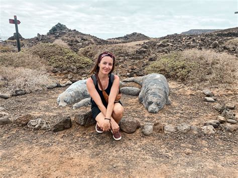 Isla De Lobos Fuerteventura Qu Ver Permiso C Mo Ir