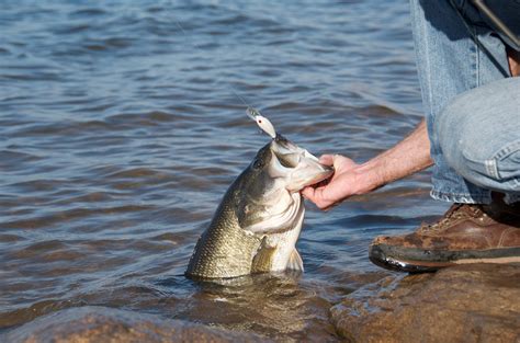 trophy bass pond oklahoma department  wildlife conservation