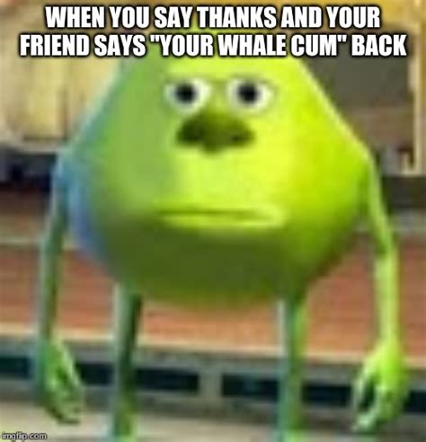 Sully Wazowski Imgflip