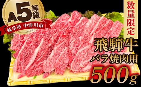 【数量限定！チルド（冷蔵）発送！】「飛騨牛」a5等級バラ 500g 鉄板焼き 網焼き 焼肉 バーベキュー Bbq 18019｜ふるラボ