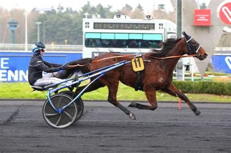 Face Time La Fiche Canalturf Du Cheval Performances Pmu P Digr