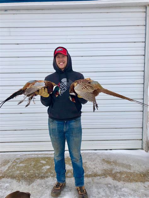 Upland Bird Hunting Nd Trips Trade