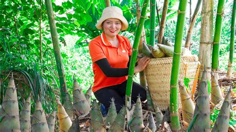 Harvesting Bamboo Shoots To The Market Sell Pickled Bamboo Shoots With Chili Lucias Daily Life