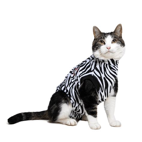 MPS MEDICAL PET SHIRT KATZE Medical Pet Shirts