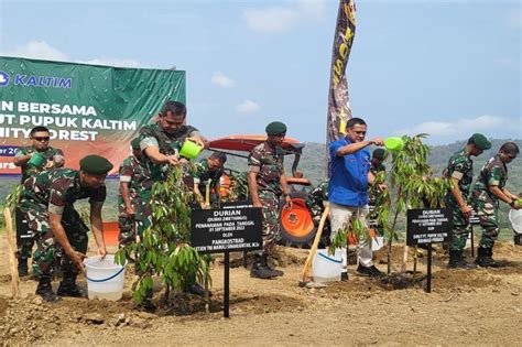 Pupuk Kaltim Tanam 3 000 Pohon Di Area Latihan Kostrad