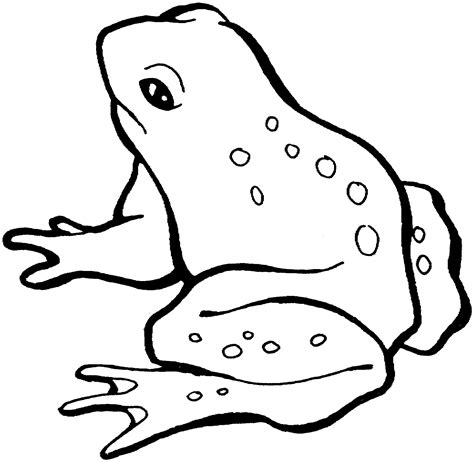 Free Printable Frog Coloring Pages For Kids