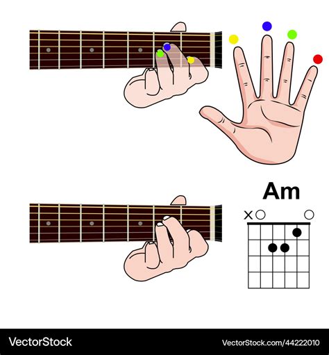 Basic Chords For Bass Guitar