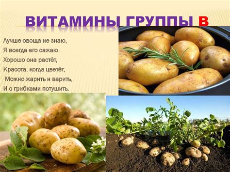Витамины групп: С, В, А - презентация онлайн