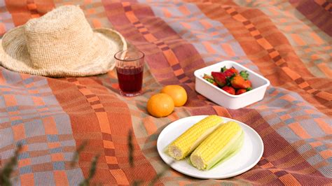 The Limited Edition Picnic Blanket Outdoor Adventure Companion Mungo
